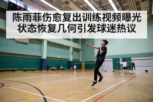 badminton court action